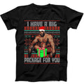 Barry Sitting On A Bed I Have A Big Package Ugly Christmas Xmas Tee Black T Shirt 493 Gift Tee Black T Shirt B493