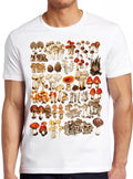 Mushroom Mycology Fungi Foraging Whisperer Stuffed Mushrooms Art Meme Funny  Style Unisex Gamer Cult Movie Gift Tee T Shirt 2344
