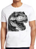 Dinosaur Going Extinct T Rex Asteroids Jurassic Weird Humorous Hilarious Witty Funny Music Gift Tee T Shirt 2392