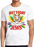 Not Today Jesus Rainbow Goat Satan Hilarious Witty Humor Funny Meme Gift Tee Gamer Cult Movie Music  T Shirt 2320